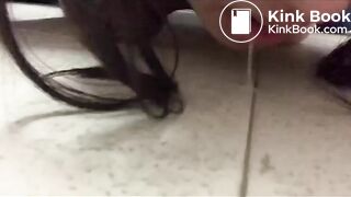 Degraded fuck pigs being fucked, slap the whores