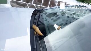 V3g4N L1nd4 Shitting on a Windshield