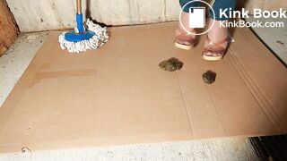 Dog Spout Brown Pantyhose