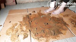 Grey Nylons Socks Vs Brown Dog