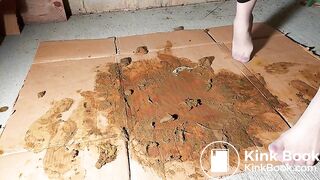 Grey Nylons Socks Vs Brown Dog