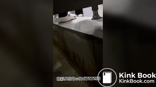 Women poop in dirty toilets