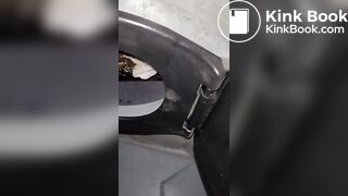 Fresh portapotty shit for worthless human toilet w