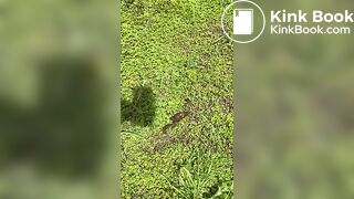 Crappy walk in Women’s Sneakers