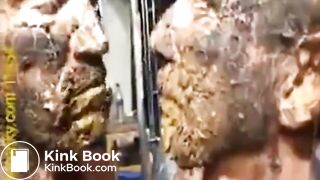 Re-packed Shiteaters (Brownhanky)