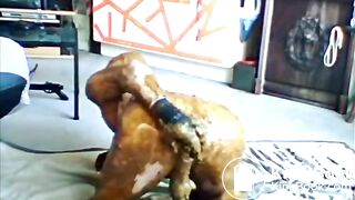 guy covers himself in shit
