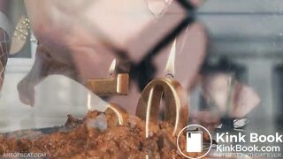 Shittiest Birthday Ever - ArtOfScatcom