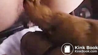 Asian Girl Takes Big Shit