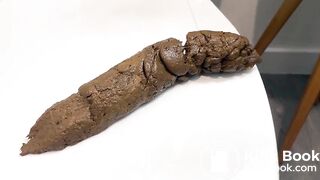 A Peaceful Shit on the Toilet Seat