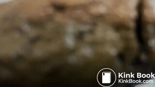 A Peaceful Shit on the Toilet Seat