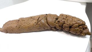 A Peaceful Shit on the Toilet Seat