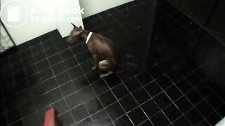 KINKYTHAI DIRTY SHIT EXPERIANCE