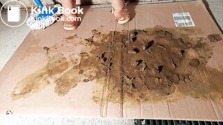 Nylon Feet dog Spout madness