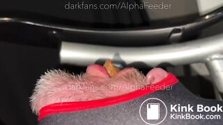 Use The Toilet - FULL VID is 28 MIN