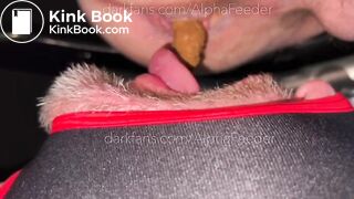 Use The Toilet - FULL VID is 28 MIN