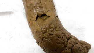 Trans BBW Quick Shit in the Afternoon