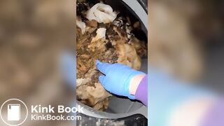 Vomit for worthless human toilet shit whore