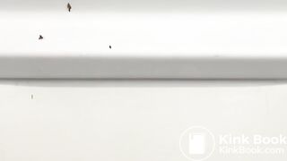 Enjoy My Shit Cannon