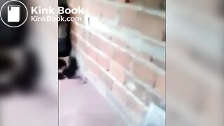 punish stick whip cane