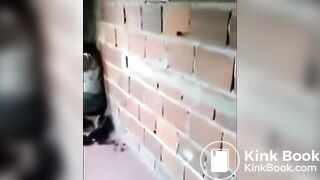 punish stick whip cane