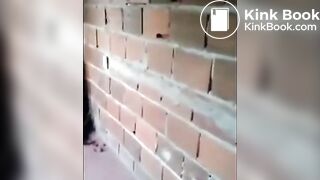 punish stick whip cane