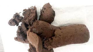 Magnificent Scat Pile by Trans BBW