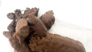 Magnificent Scat Pile by Trans BBW