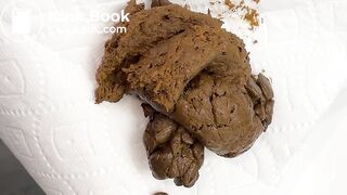 Trans Giantess Buries You in Shit