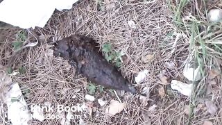 Summer scat fun in Croatia and France