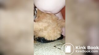 Fursuiter Gets Shit All Over Them P2