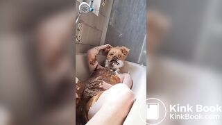 Fursuiter Gets Shit All Over Them P2