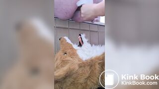 Fursuiter Gets Shit All Over Them P2