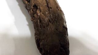 POV Shit in Your Face