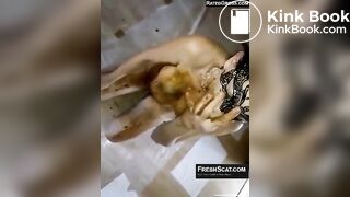 Pierced hotty gets off smearing and eating scat