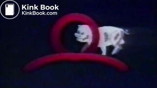 hungry for shit (kinky video)