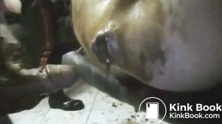 Schweinestall Stuttgart - Part 2 (gay-shit)