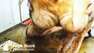 Scat smear