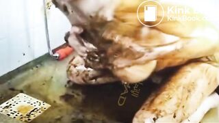 Scat smear