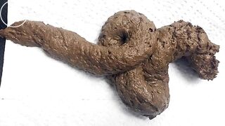 Close-Up Shit Snake (with Pics)