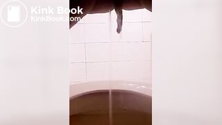 me pee and shit in my toilet