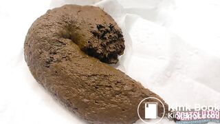 Chubby Trans Babe Clogs the Toilet Again