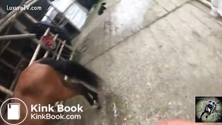 Most Extreme Filthy Dirty vid Collection