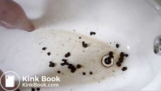 Most Extreme Filthy Dirty vid Collection