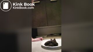 Faggot toilet, owned property of @Vancitybull