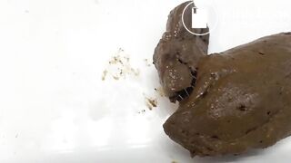 Shit So Thick My Slink Made a U-Turn