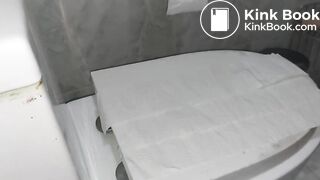 Toilet lid shitting