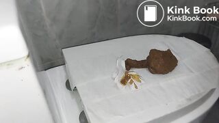 Toilet lid shitting