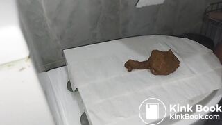 Toilet lid shitting