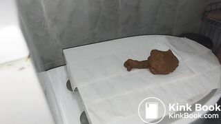 Toilet lid shitting