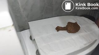 Toilet lid shitting